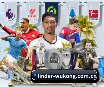 finder-wukong.com.cn APP 界面
