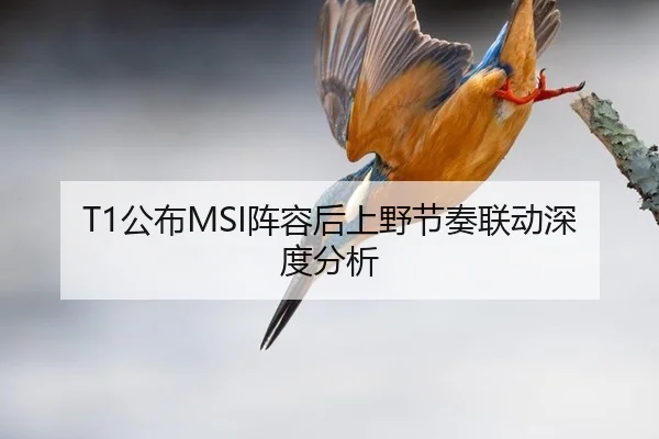 T1公布MSI阵容后上野节奏联动深度分析